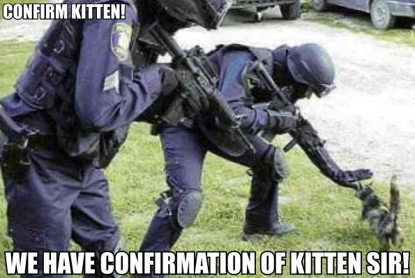kittens with guns. Tagged with: gun, kittens,