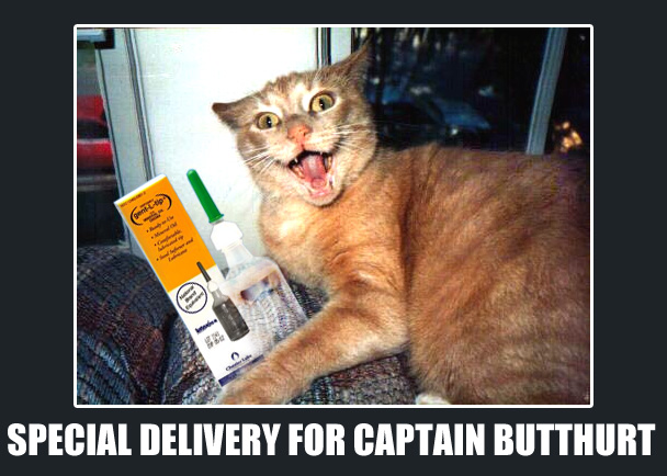 deliverycaptain.jpg