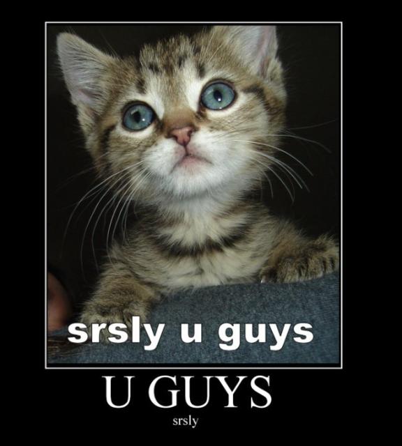 srsly guise cat