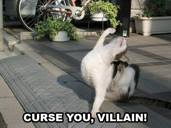 cat-curse-you-villain.jpg