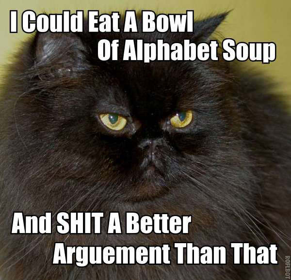 alphabet_soup_cat2.jpg