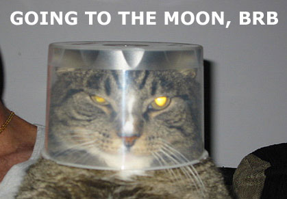 astronaut_moon_cat_brb.jpg
