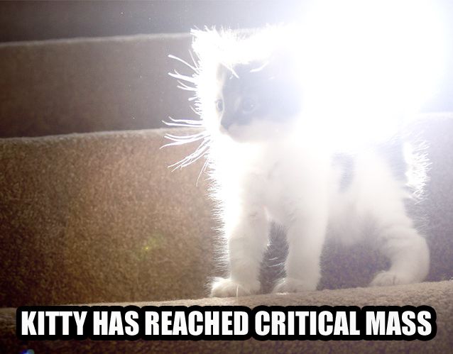 critical_mass_kitty.jpg