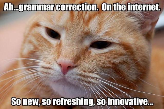 [Imagen: grammar_correction_cat.jpg]