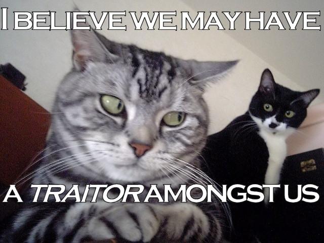 traitor_among_us.jpg
