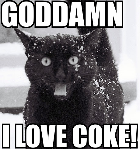 love_coke_cat.jpg
