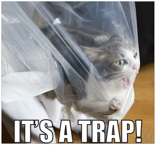 plastic_bag_trap_cat.jpg