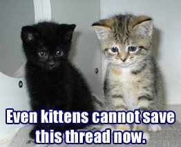 thread_cannot_be_saved_by_kittens.jpg