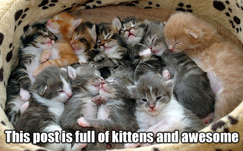 kittensandawesome.jpg