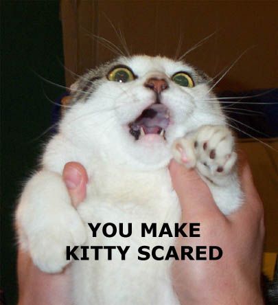 you_make_kitty_scared.jpg