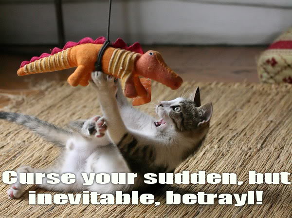 curse your inevitable betrayal dragon dinosaur kitten lol cat macro