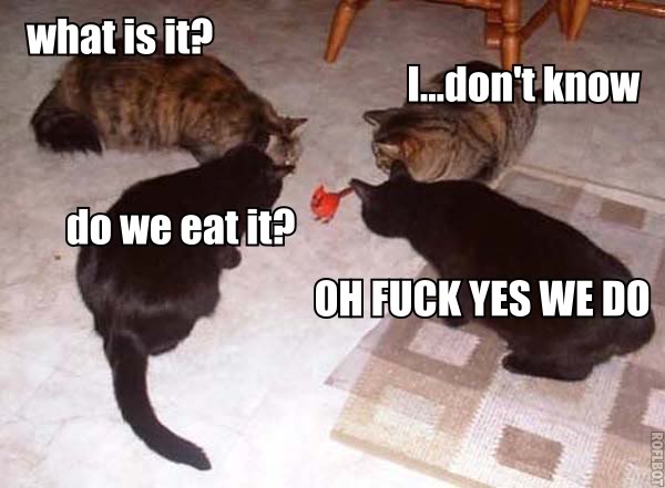 [Image: do_we_eat_it_cats.jpg]