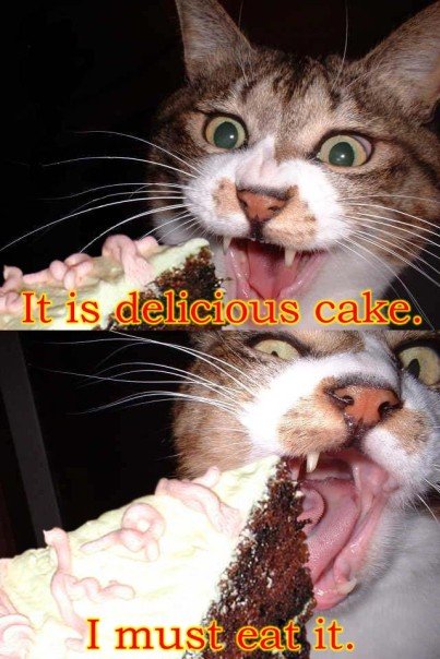 [Image: delicious_cake_cat.jpg]