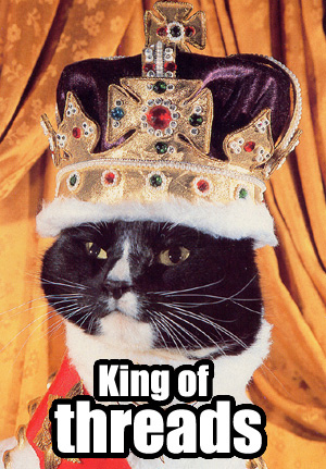 king_of_threads_cat.jpg