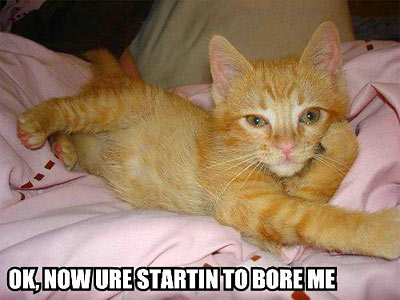 Now You're Starting To Bore Me | CAT MACROS