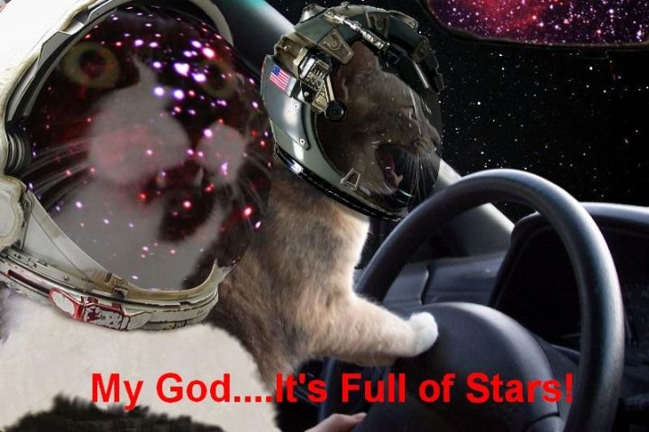 omg fulla stars astronaut outer space driving mapquest mashup lol cat macro