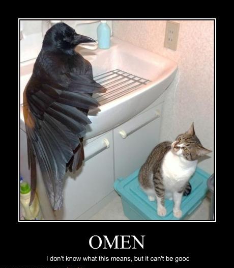 crow_omen_cat.jpg